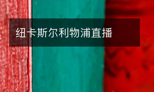 紐卡斯?fàn)柪锲种辈? />
<div   id=